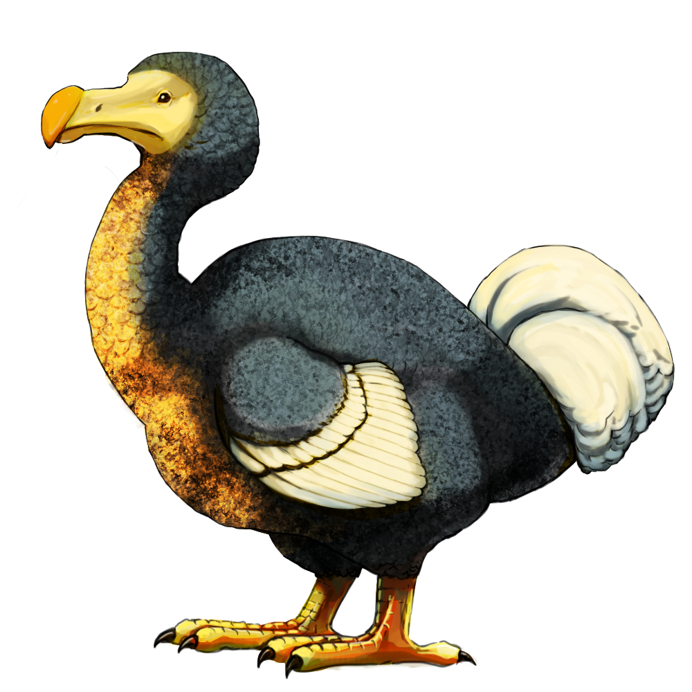 なぜドードーは絶滅したのか?